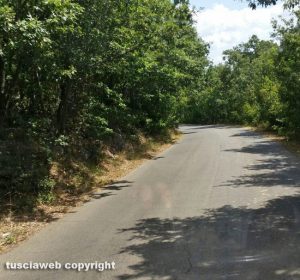 Strada tra Blera e Monte Romano invasa dalle erbacce