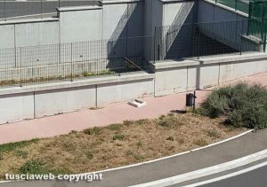 Viterbo - Cartone sparso in strada