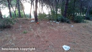 Montalto Marina - Pineta piena di rifiuti