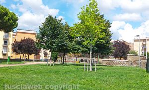 Viterbo - Parco Impastato