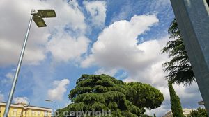 Viterbo - Parco Impastato - Un lampione