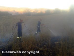 Incendio a Blera - Volontari della protezione civile in azione