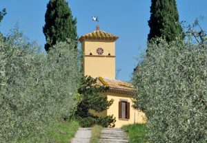 Graffignano - Il Torrino