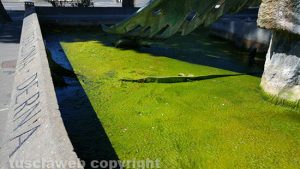 Viterbo - Fontana al Sacrario nel degrado