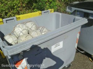 Viterbo - Palloni da calcio nel secchione per la carta