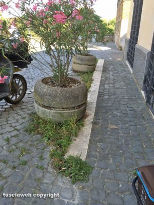 Civita Castellana - Erbacce e incuria davanti al Forte Sangallo