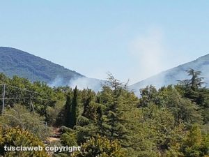 Incendio sulla Palanzana