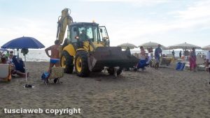 Tarquinia - L'animale spiaggiato sulla riva viene portato via