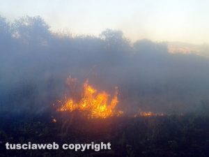 Incendio (Immagine di repertorio)
