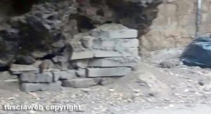 Viterbo - Topi e rifiuti in via del Pilastro