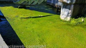 Viterbo - Fontana al Sacrario nel degrado