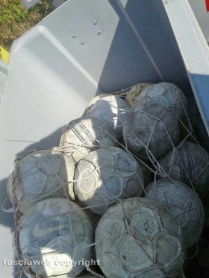 Viterbo - Palloni da calcio nel secchione per la carta