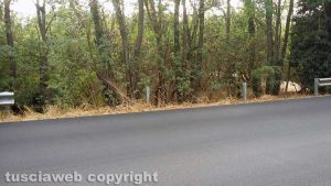 Viterbo - Guardrail mancante sulla Cassia al km 72