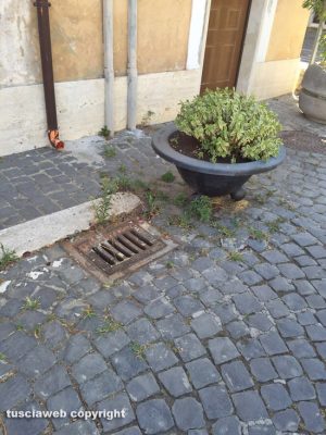 Civita Castellana - Erbacce e incuria davanti al Forte Sangallo