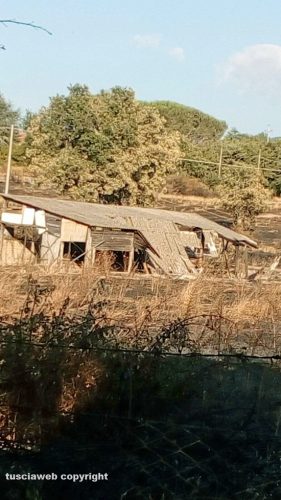 Viterbo - Palanzana- Eternit e degrado in un ex rifugio