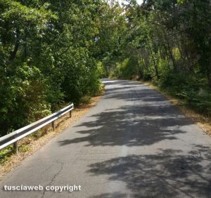 Strada tra Blera e Monte Romano invasa dalle erbacce