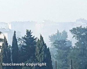 Viterbo - Incendio di sterpaglie a Santa Barbara