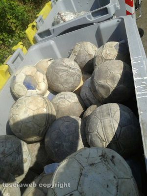 Viterbo - Palloni da calcio nel secchione per la carta