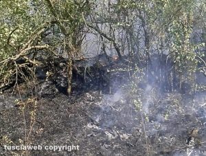 Civita Castellana - Vasto incendio in un campo