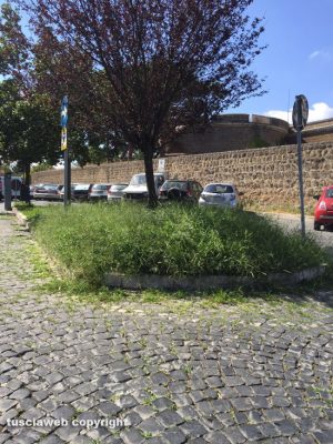 Civita Castellana - Erbacce e incuria davanti al Forte Sangallo