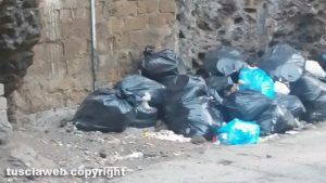 Viterbo - Topi e rifiuti in via del Pilastro