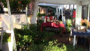 Tarquinia - ArgePic - Festa del peperoncino
