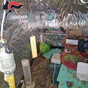 Civitavecchia - La droga sequestrata dai carabinieri
