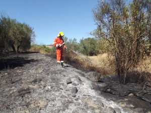 L'Asvom in azione
