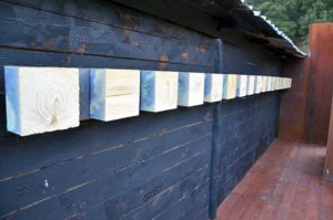 Tuscania - La mostra su Moby Dick