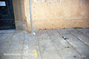 Viterbo - Moria di piccioni nel centro storico