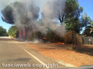 Viterbo - Incendio sulla Tuscanese