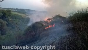 Valentano - Boscaglia in fiamme