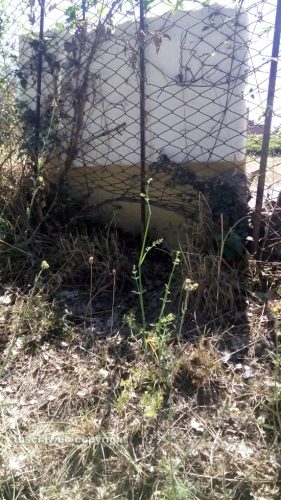 Viterbo - La rete sollevata in strada Monte Pizzo