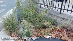 Civita Castellana - Scarsa manutenzione in via Enrico de Nicola