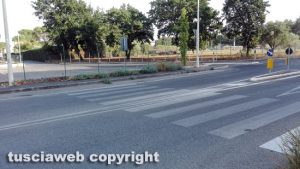 Civita Castellana - Scarsa manutenzione in via Enrico de Nicola