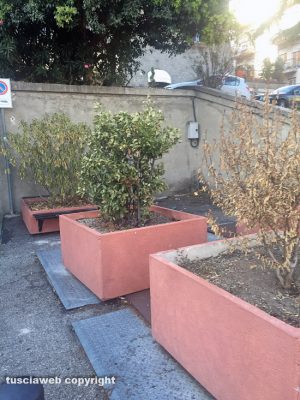 Viterbo - Piazza del Sacrario - Le fioriere alla fermata dell'autobus