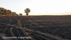 L'incendio sulla Tuscanese