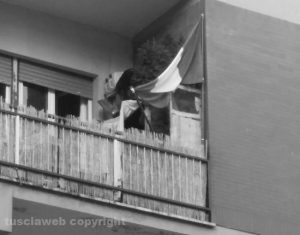 Viterbo - La marijuana sul balcone