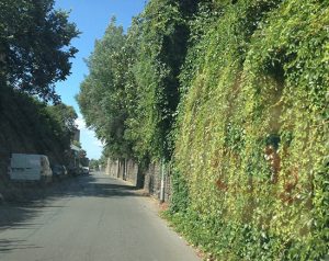 Via del Pilastro