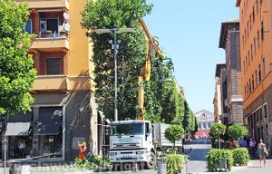 Viterbo - La potatura a via Marconi
