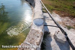 Viterbo - Bullicame - L'acqua sta tornando