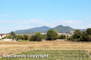 La campagna di Viterbo