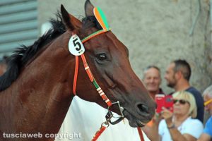 Ronciglione - Corse a vuoto