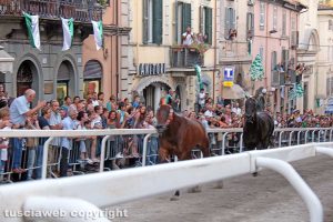 Ronciglione - Corse a vuoto - La cavalla Queen King del rione Campanone in testa