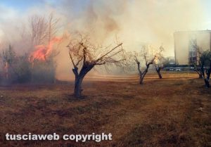 Viterbo - Incendio di sterpaglie a Santa Barbara