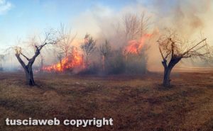 Viterbo - Incendio di sterpaglie a Santa Barbara