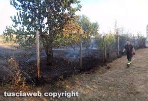 Viterbo - Incendio di sterpaglie a Santa Barbara
