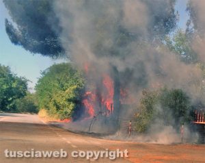 Viterbo - Incendio sulla Tuscanese