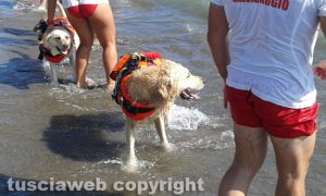 Pescia Romana - Barca si ribalta, salvato gruppo di ragazzi - Intervento dei cani bagnino