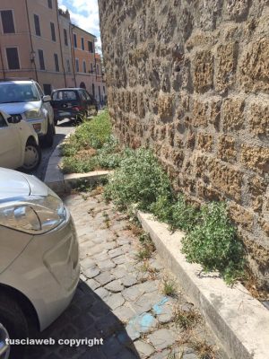 Civita Castellana - Erbacce e incuria davanti al Forte Sangallo